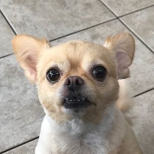 Meet your Posher, Bernavette